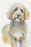 Placeholder: abstract watercolour of a cockapoo dog’s head in the style of Valerie Davide with bifurcated circles and pencil lines