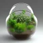 Placeholder: a glass jar terrarium filled with plants, highly detailed,