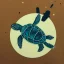 Placeholder: turtle and night