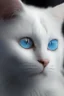 Placeholder: white cat blue eyes