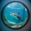 Placeholder: A cute little Basking Shark in a small circular fish tank.