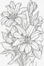 Placeholder: flowers coloring page for kids, lily, cartoon style, thick outline, low details, no shading, no color