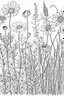 Placeholder: coloring book image of wildflowers