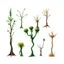 Placeholder: "Isolated concept art of multiple types of alien tree plant on a plain neutral background. Designed for different biomes: Forest biome – lush, dense, tall grass with strange broad blades, glowing tips, and twisted leaves. Swamp biome – slimy, wet, moss-like grass with tangled roots, bioluminescent details, and spongy textures. Desert biome – dry, spiky, brittle grass with sharp edges, thorn-like blades, and pale dusty colors. Each grass type should have a unique silhouette and texture.