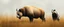 Placeholder: panda dog bison boxer badger