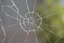 Placeholder: Slightly cracked glass, no background