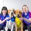 Placeholder: dogdaycare 4person group photo staff not showing hands