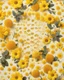 Placeholder: honeycomb and borja on yellow floral background