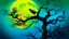 Placeholder: A bird with green and blue plumage perches on a gnarled tree branch against a vibrant yellow moon and a deep blue and green gradient sky. The tree's bare branches create a silhouette against the luminous moon, with dark, shadowy trees in the background. The overall mood is mystical and nocturnal.