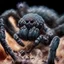 Placeholder: 90's TCG fantasy artwork art of a giant spider