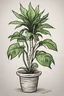 Placeholder: Monster plant for easy drawing