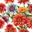 Placeholder: gerbera daisy flower on white background, illustration, seamless texture