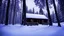 Placeholder: cabin in forest in winter