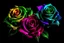 Placeholder: Colorfull three flower rose, Florescente and vibrant, Dark background, real