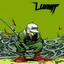 Placeholder: Limp bizkit new single cd cover artwork with a minimalist far perspective.