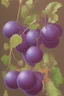 Placeholder: purple round grapes,no leaf,background beige,colored pencil style,HD,green handle,oil painting,no reflection,HD