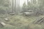Placeholder: clearing, forest,overgrown, post-apocalyptic, comic book,