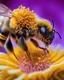 Placeholder: A macro shot of a honeybee, covered in pollen, as it collects nectar from a brightly-colored flower.