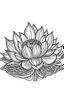 Placeholder: Classic Lotus coloring book for kids