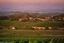 Placeholder: viñedos de viñas viejas y bajas al atardecer con un pueblo al fondo, fotografía real, foto periodismo, fotografía realizada con una cámara Leica y un objetivo de 50mm