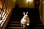 Placeholder: The Duracell bunny running up the stairs (front view)