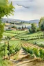 Placeholder: watercolor of a vineyard in france