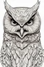 Placeholder: outline art for owl coloring pages, white background, Sketch style, only use outline, Mandala style, clean line art, white background, no shadows, and clear and well outlined