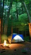 Placeholder: camp in the woods