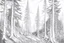 Placeholder: Norwegian forest, woodland- Pencil drawing, illustrative, graphite, crosshatching