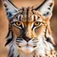Placeholder: Egyptian lynx face