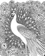 Placeholder: An elegant peacock displaying its vibrant plumage in a lush garden filled with exotic flowers. for colouring pages with black and white outline line art ,no blur,no grayscale,only white backdrop,only black and white colour of this picture,no other colour,no black backdrop with realistic look