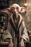 Placeholder: Dobby as an old man elf