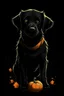 Placeholder: graphic Halloween, black dog, furry