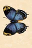 Placeholder: very beautiful butterfly