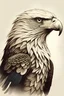Placeholder: i need a eagle illustration ,clear and simple illustration and simple details