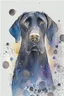 Placeholder: abstract watercolour of a black Labrador dog’s head in the style of Valerie Davide with bifurcated circles