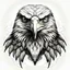 Placeholder: eagle head-on with stretched open wings drawing