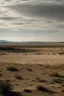 Placeholder: desolate desert landscape