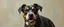 Placeholder: badly painted super dog