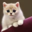 Placeholder: cute baby cat