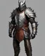 Placeholder: An armor made of a mixture of steel and leather, worn by a strong commander with magical power An armor made of a mixture of steel and leather, worn by a strong commander with magical power An armor made of a mixture of steel and leather, worn by a strong commander with magical powerride dragon