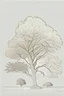 Placeholder: architectural landscape plan oak tree side view hand drawn line vector style simple