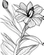 Placeholder: real massive Bird of Paradise flower coloring page