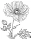 Placeholder: real massive only Anemone flower, coloring page, no leaves, full body (((((white background))))), only use an outline., real style, line art, white color, clean line art, white background, Sketch style