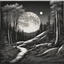 Placeholder: Forest in front of full moon
