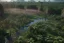 Placeholder: Extreme long shot, Birds Eye view, congo jungle landscape, smooth, god rays, unreal engine 5, ray tracing, RTX, lumen lighting, ultra detail, volumetric lighting