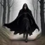 Placeholder: a dark figure covered in a black fur-lined cloak hood drawn over her head, making her clearly not visible to anyone who might catch sight of the woman as she pulled her white-steed Nuada out of the woods and down the narrow road that leads to the pub, his hooves kicking up dust with every step as she brought him into a slow cantor, his head bobbing up and down as he neighs. She would bring him to a halt as she slid off and landed neatly on the ground.