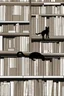 Placeholder: one black cat standing behind the bookshelf, white background