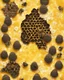 Placeholder: honeycomb and beehive on a yellow floral background