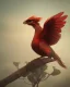 Placeholder: A beautiful portrait of a phenix bird fie red color scheme, high key lighting, volumetric light high details psychedelic background